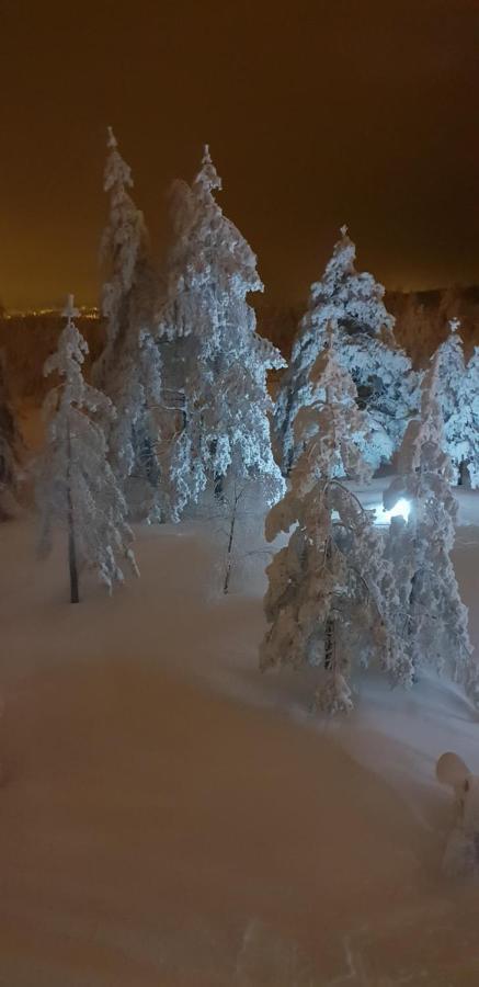 Apartman Mina Divčibare Buitenkant foto